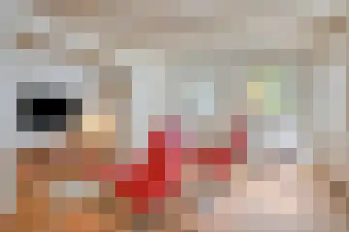 Meester van Coothstraat 18 A Lith thumbnail 6