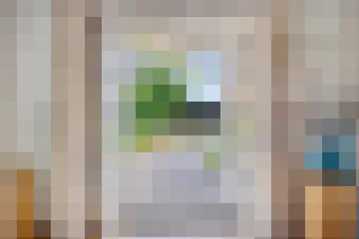 Meester van Coothstraat 21 Lith thumbnail 10