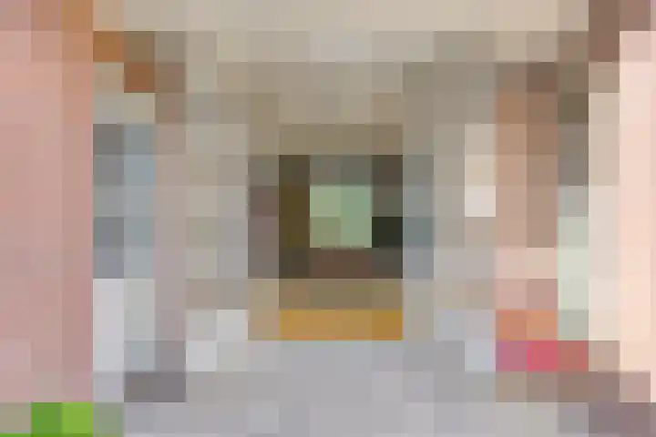 Meester van Coothstraat 21 Lith thumbnail 11