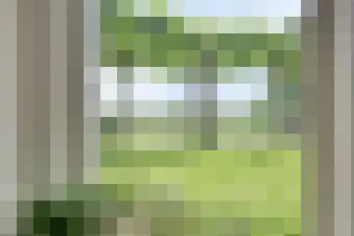 Meester van Coothstraat 21 Lith thumbnail 14