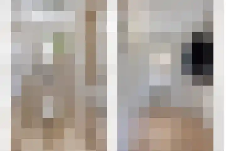 Meester van Coothstraat 21 Lith thumbnail 21