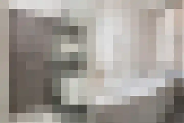 Meester van Coothstraat 21 Lith thumbnail 22