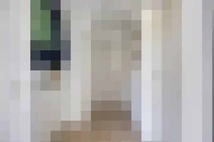 Meester van Coothstraat 21 Lith thumbnail 22
