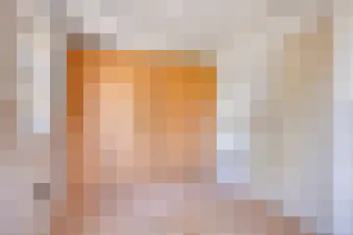 Meester van Coothstraat 21 Lith thumbnail 24
