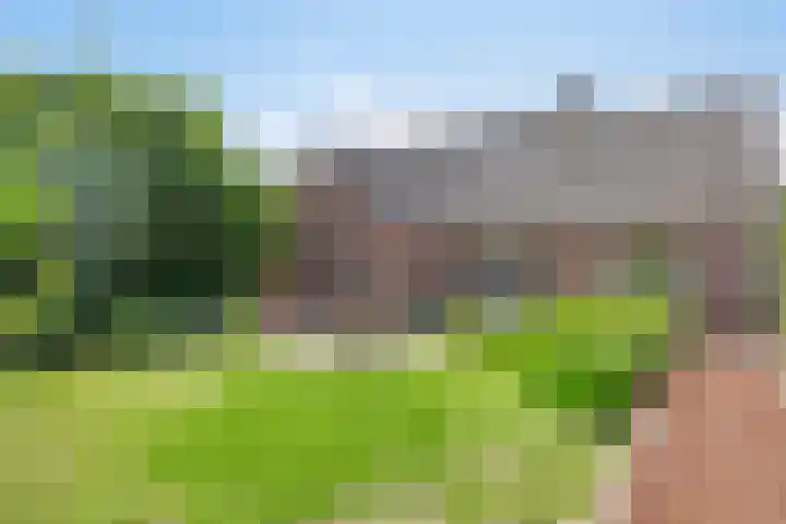 Meester van Coothstraat 21 Lith thumbnail 25
