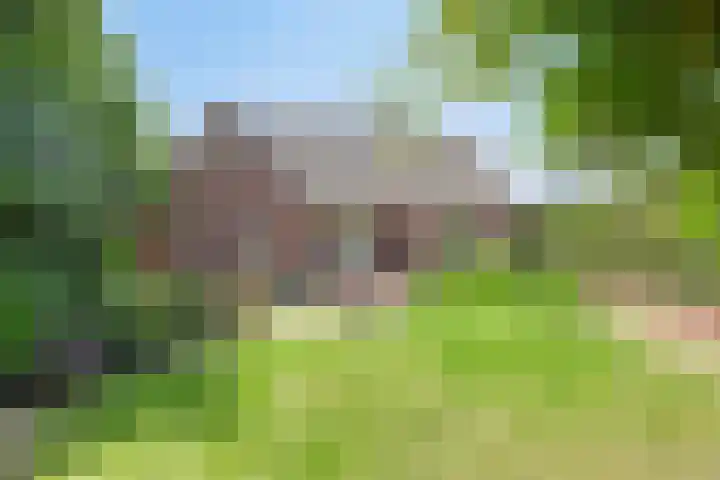 Meester van Coothstraat 21 Lith thumbnail 26