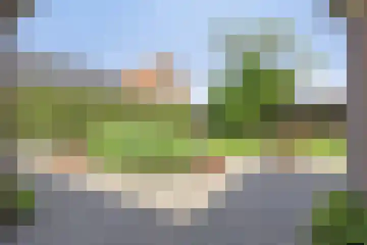 Meester van Coothstraat 21 Lith thumbnail 27