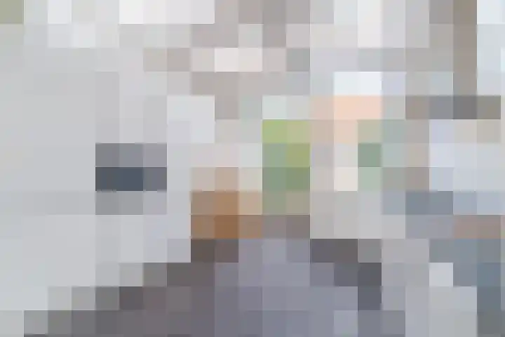 Meester van Coothstraat 21 Lith thumbnail 28