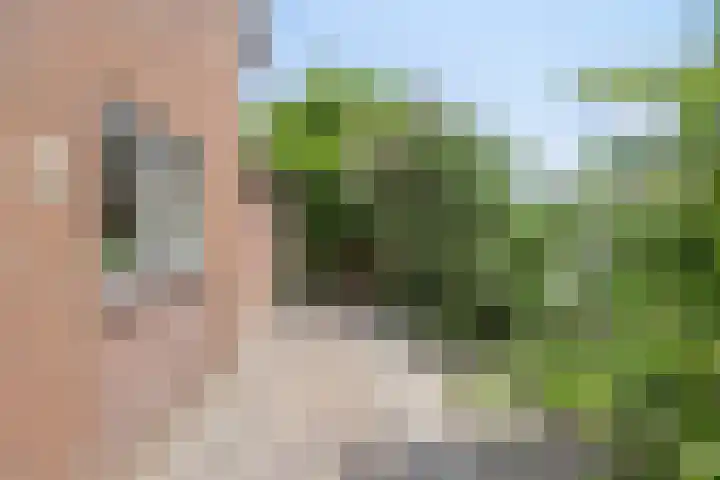Meester van Coothstraat 21 Lith thumbnail 29