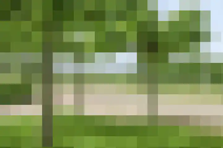 Meester van Coothstraat 21 Lith thumbnail 31
