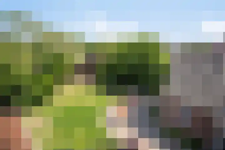Meester van Coothstraat 21 Lith thumbnail 32