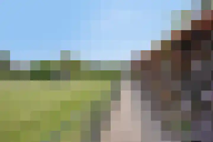 Meester van Coothstraat 21 Lith thumbnail 35