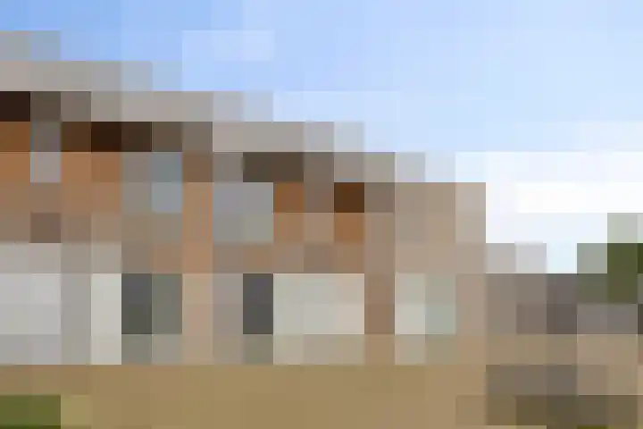 Meester van Coothstraat 21 Lith thumbnail 36
