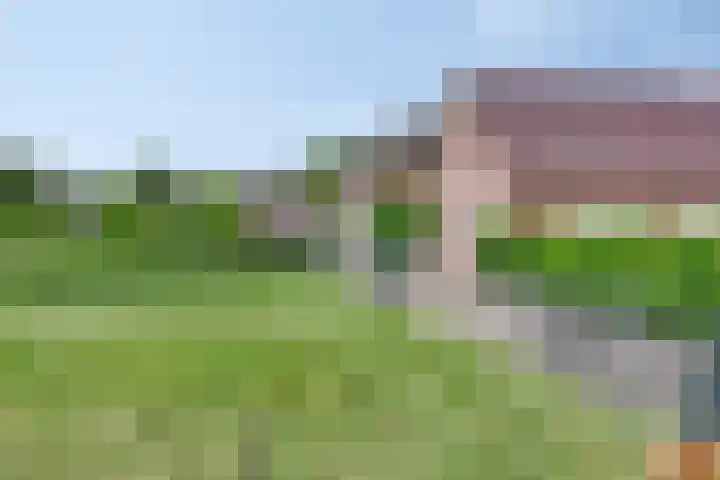 Meester van Coothstraat 21 Lith thumbnail 37