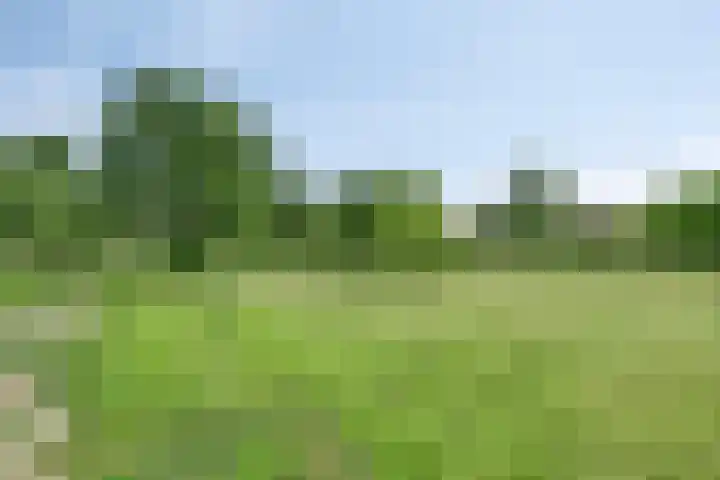 Meester van Coothstraat 21 Lith thumbnail 39