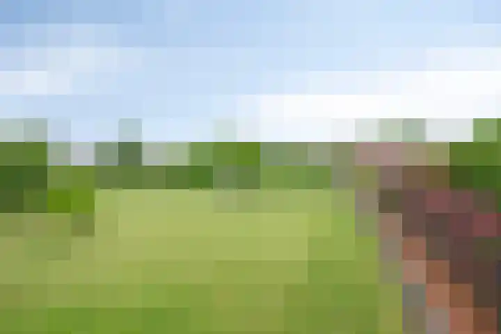 Meester van Coothstraat 21 Lith thumbnail 4