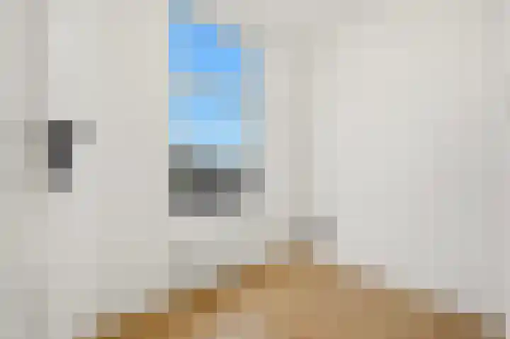 Meester van Coothstraat 21 Lith thumbnail 40