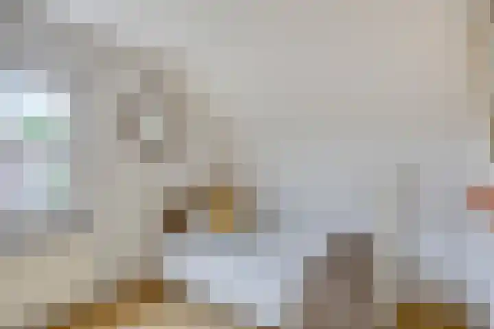 Meester van Coothstraat 21 Lith thumbnail 50