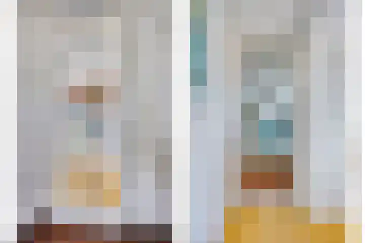Meester van Coothstraat 21 Lith thumbnail 55