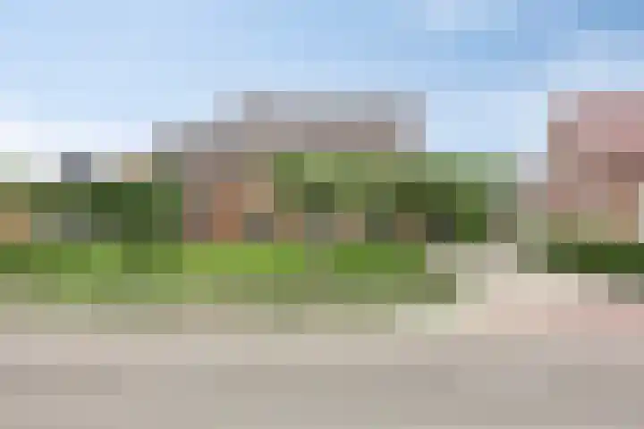 Meester van Coothstraat 21 Lith thumbnail 59