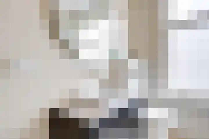 Meester van Coothstraat 21 Lith thumbnail 6