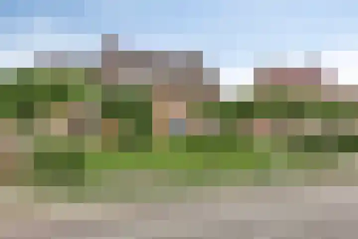 Meester van Coothstraat 21 Lith thumbnail 6