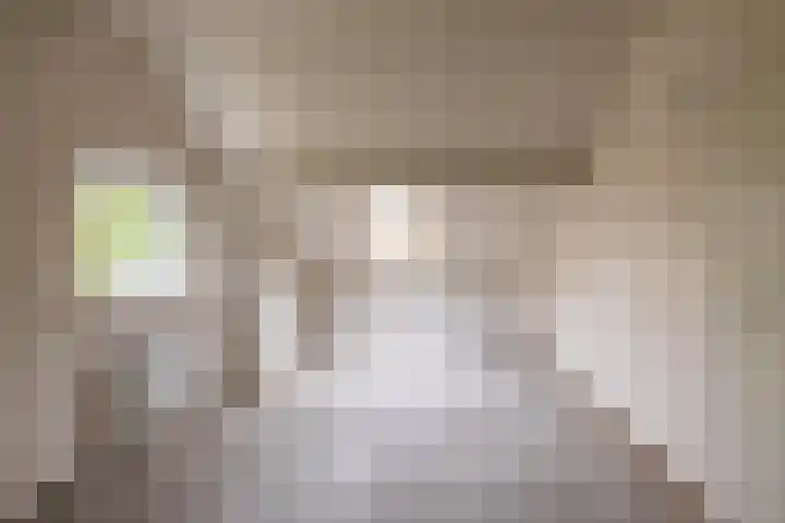 Meesterslaan 15 Westerbroek thumbnail 13