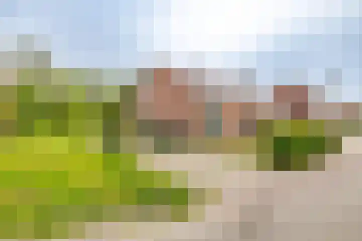 Meesterslaan 15 Westerbroek thumbnail 21