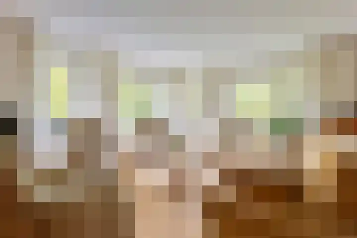 Meestersplein 18 Bemmel thumbnail 10