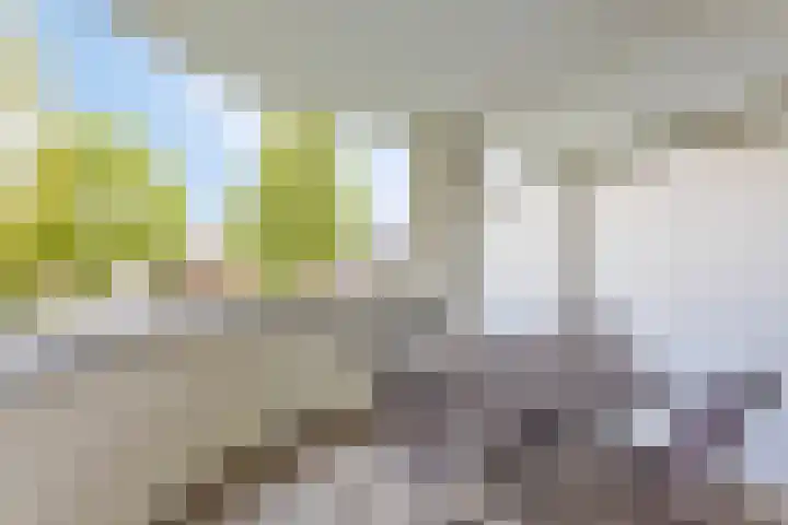 Meestersplein 18 Bemmel thumbnail 15
