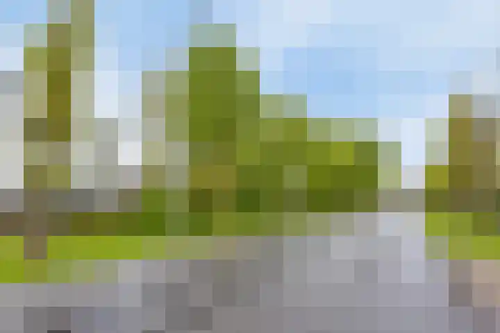 Meestersplein 18 Bemmel thumbnail 17