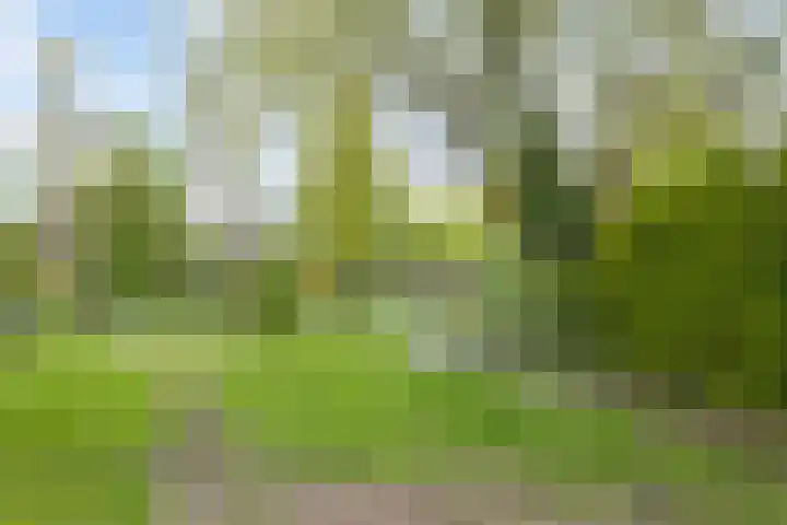 Meestersplein 18 Bemmel thumbnail 31