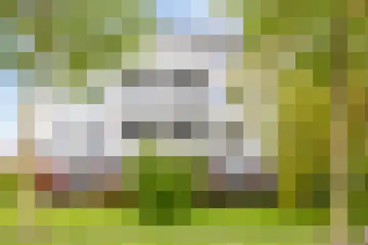 Meestersplein 18 Bemmel thumbnail 4