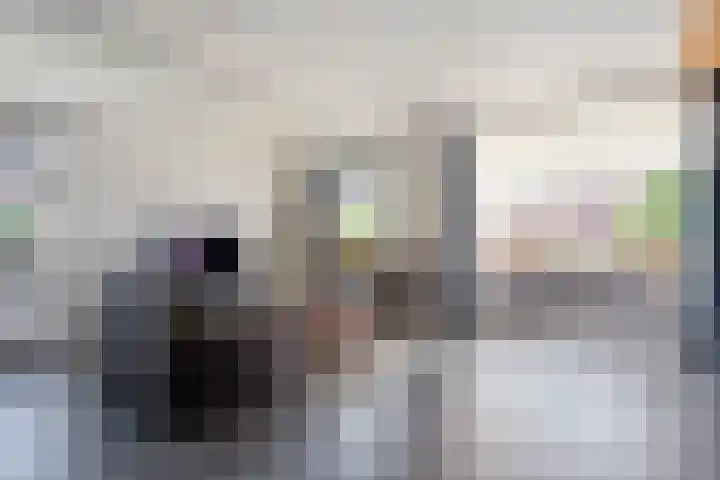 Meestersweg 5 Staphorst thumbnail 13