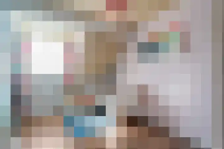 Meestersweg 5 Staphorst thumbnail 22