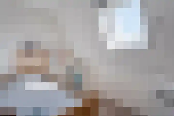 Meestersweg 5 Staphorst thumbnail 24