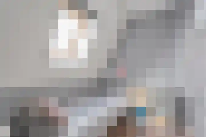 Meestersweg 5 Staphorst thumbnail 26