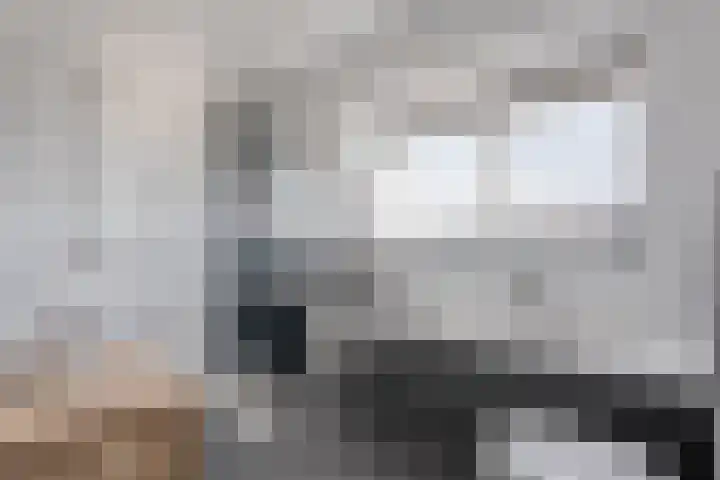 Meestersweg 5 Staphorst thumbnail 28