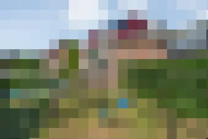 Meestersweg 5 Staphorst thumbnail 30
