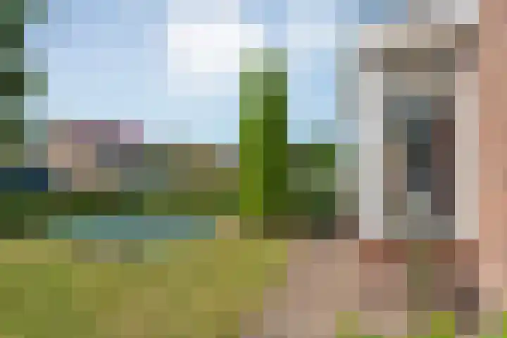 Meestersweg 5 Staphorst thumbnail 32