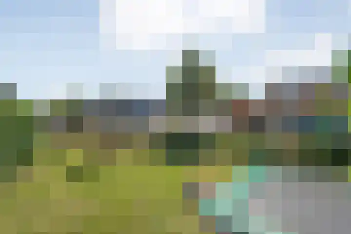 Meestersweg 5 Staphorst thumbnail 33