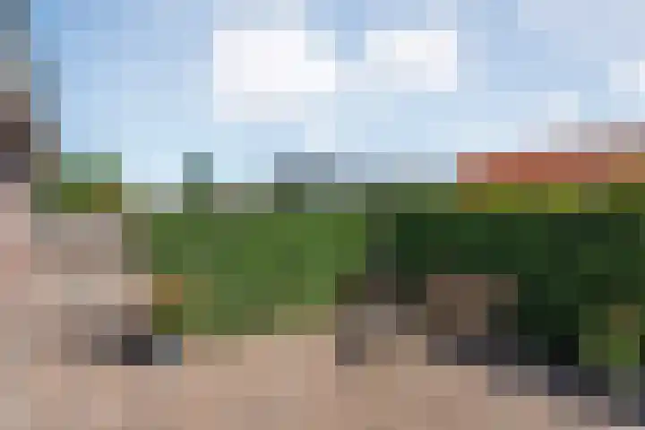 Meestersweg 5 Staphorst thumbnail 36