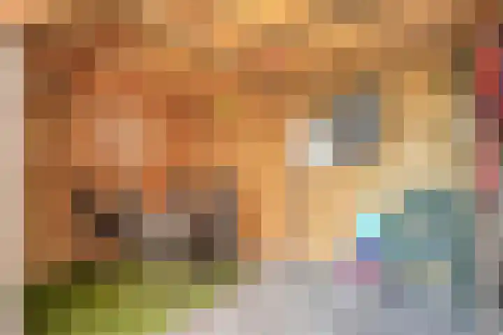 Meestersweg 5 Staphorst thumbnail 38