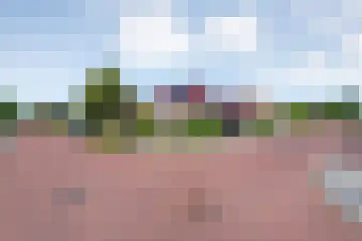 Meestersweg 5 Staphorst thumbnail 4