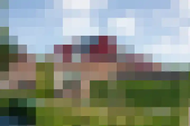 Meestersweg 5 Staphorst thumbnail 48