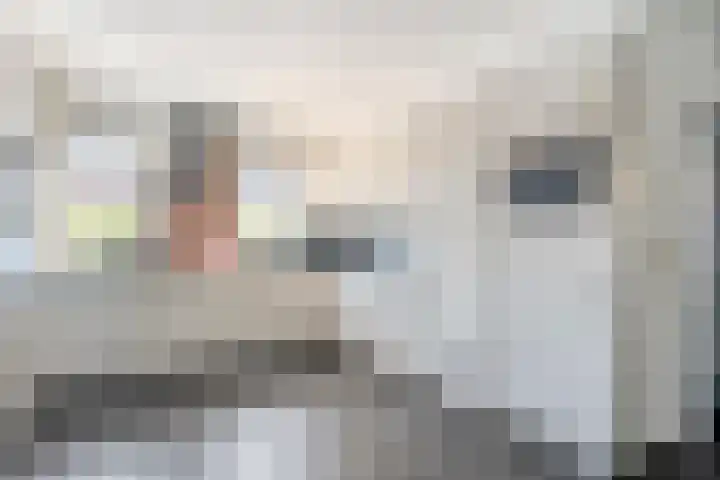 Meestersweg 5 Staphorst thumbnail 9