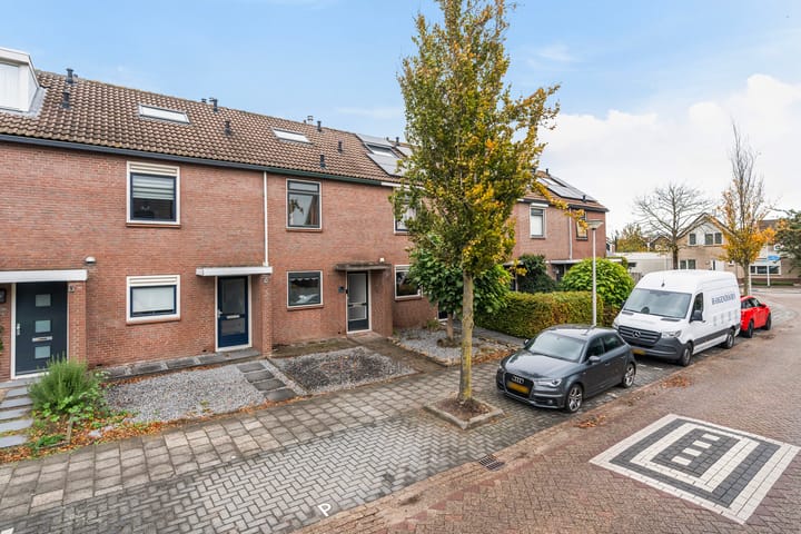 Meeuwenlaan 11 in Groot-Ammers foto