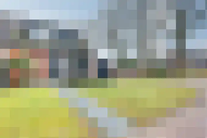 Meeuwenlaan 14 in Vries