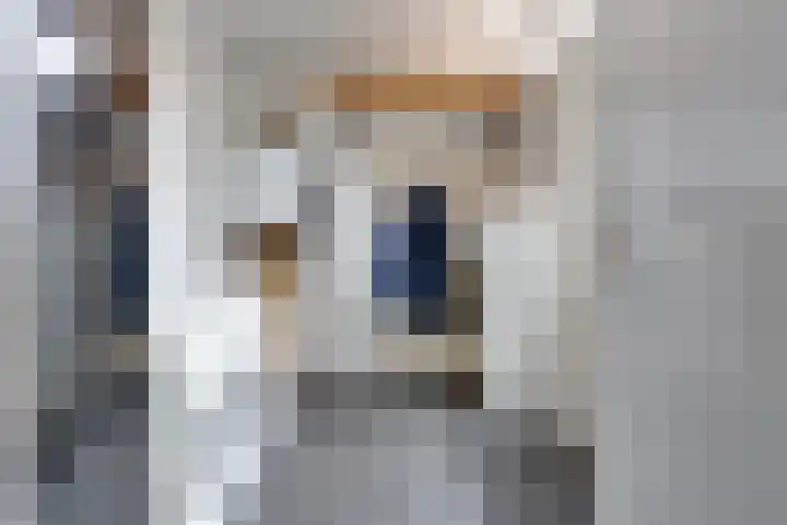 Meeuwenlaan 14 Vries thumbnail 13
