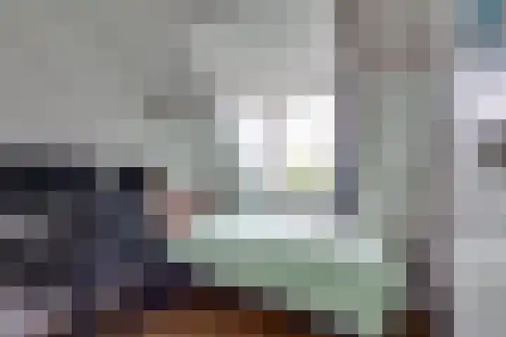 Meeuwenlaan 14 Vries thumbnail 17